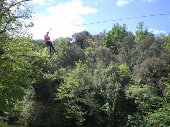 Une tyrolienne au-dessus des arbres